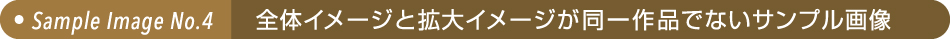 全体イメージと拡大イメージが同一作品でないサンプル画像