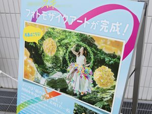 実際のご使用写真