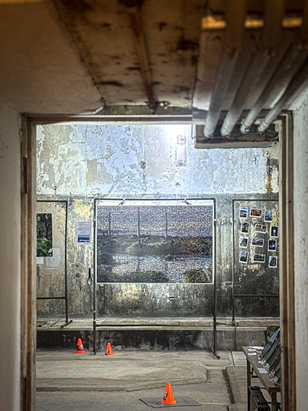 実際のご使用写真