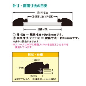 フレーム形状・仕様