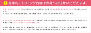 基本的にトリミング内容は弊社へお任せいただきます