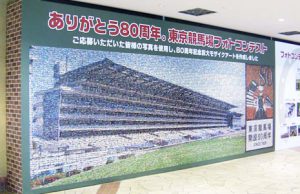 ありがとう80周年 東京競馬場フォトコンテスト