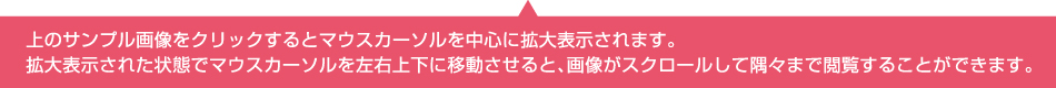 サンプル画像にマウスを当てると拡大表示されます